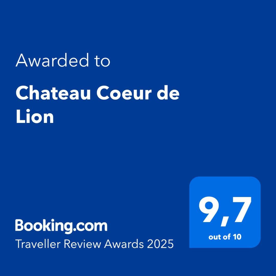 Chateau Coeur De Lion Châteauponsac 外观 照片